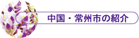 �����E��B�s�̏Љ�